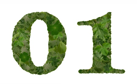 leaves number isolated の写真素材