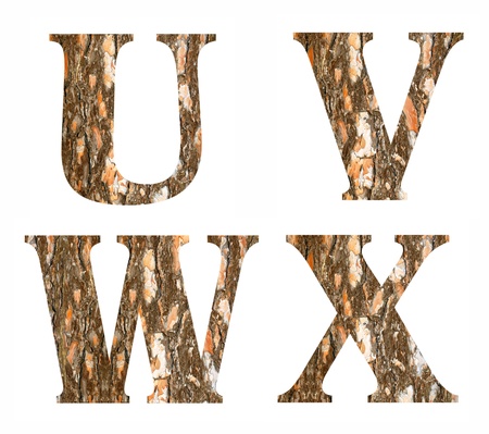 alphabet of wood の写真素材