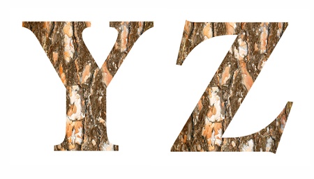 alphabet of wood の写真素材