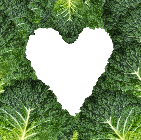 heart of the cabbage leaves の写真素材