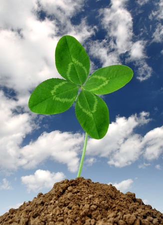 quarterfoilの写真素材