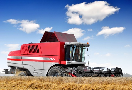 Combine harvesting wheat の写真素材