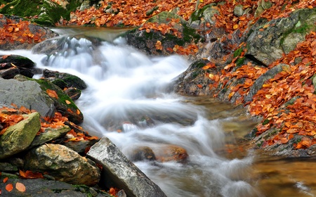 autumn creek in bohemia の写真素材