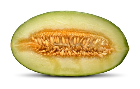cantaloupe melon isolated on white background の写真素材