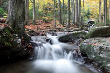 autumn creek in Czech Republic の写真素材