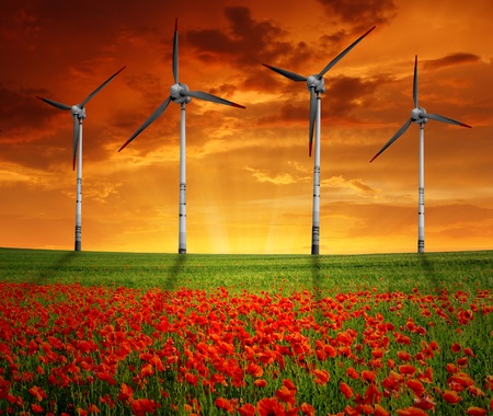 red poppy field with wind turbine の写真素材
