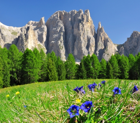 Dolomite peaks, Rosengarten,Val di Fassa, Italy Alpsの写真素材