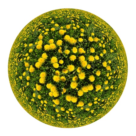 planet from dandelion fieldの写真素材