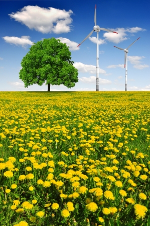 spring landscape with wind turbine の写真素材