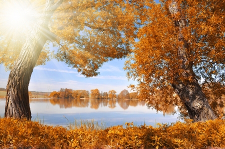 Autumn landscape in Czech Republic の写真素材