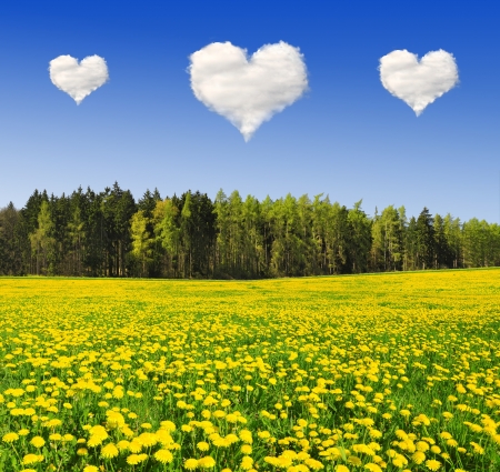 Heart from clouds above the spring landscape の写真素材