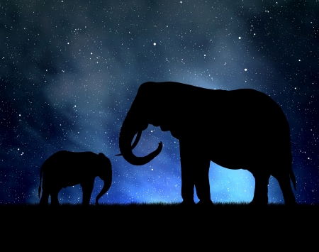 Silhouette elephants in the night skyの写真素材