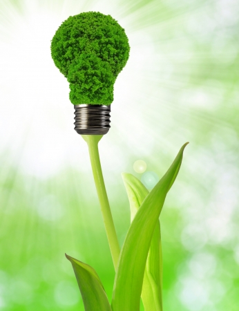 eco energy bulbの写真素材