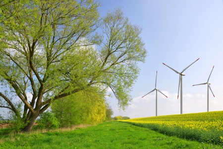 spring landscape with wind turbinesの写真素材