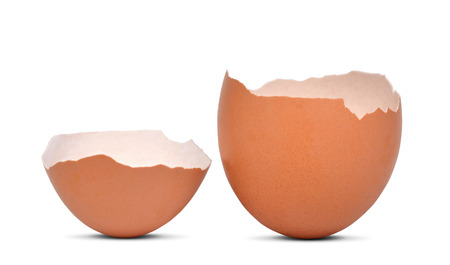 Eggshell isolated on white background 