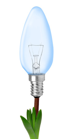 Light bulb on plant isolated on white - green energy concept