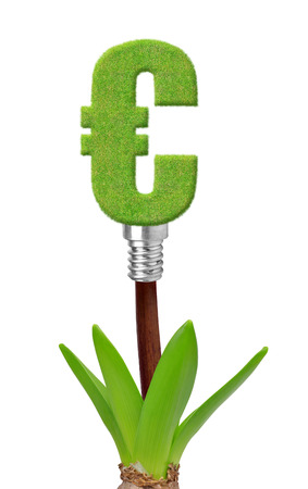 Euro sign bulb on plant isolated on white の写真素材
