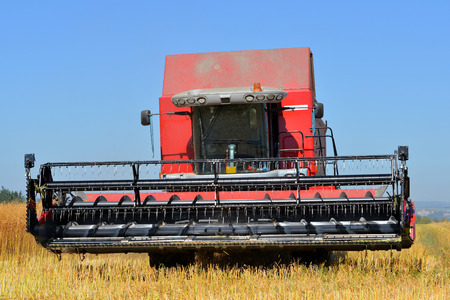 Combine harvester on a wheat field 