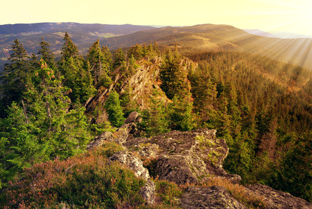 Sunset over the National park Sumava in Czech Republicの写真素材