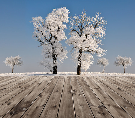 Beautiful winter landscape with trees and wooden floorの写真素材