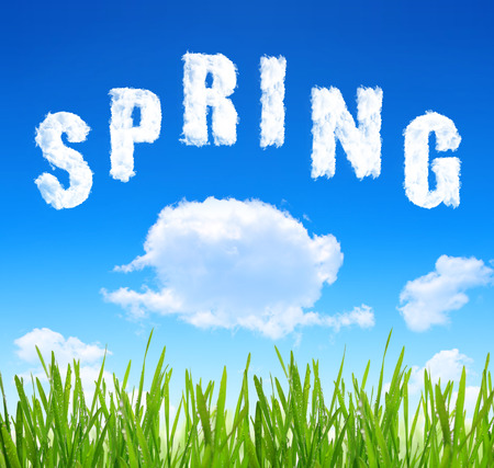 Dewy green grass with blue sky and sign of spring from cloudsの写真素材