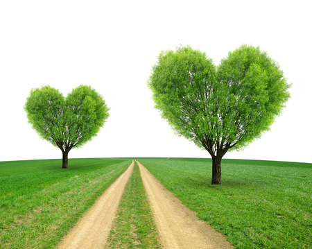 Trees in the shape heart on meadowの写真素材