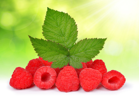 Sweet raspberry on green nature backgroundの写真素材