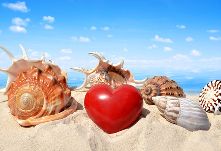Conch shells with heart on beachの写真素材