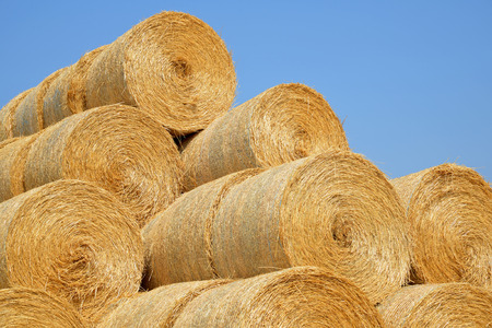 Straw bales with blue sky