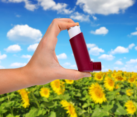 Asthma inhaler in hand. In the background sunflower field. Concept pollen allergy.の写真素材