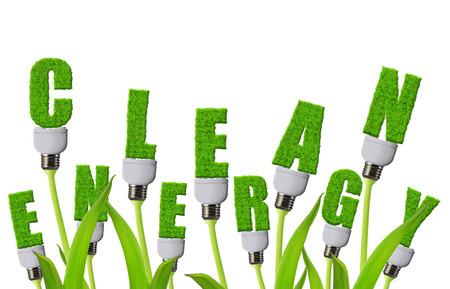 Eco light bulbs growing on plant isolated on white background. Clean energy concept.の写真素材