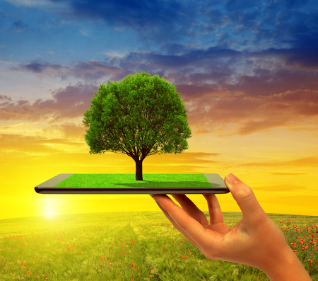 Hand holding tablet computer with tree at sunset.の写真素材