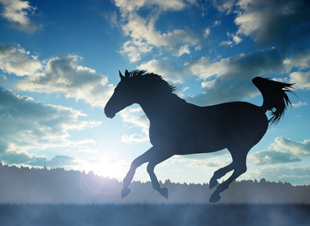 Silhouette of a horse in gallop at sunsetの写真素材