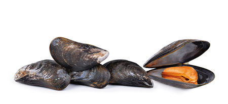 Fresh mussel isolated on a white background.の写真素材