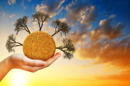 Dry planet with cracked soil and barren trees in hand,at the background sunset sky. Global warming...