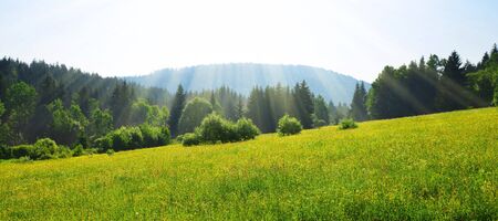 National Park Bayerische Wald, Germany. Spring landscape at sunrise.の写真素材