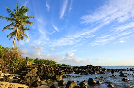 Coconut palm trees on tropical coast of Mauritius island. Indian ocean.の写真素材