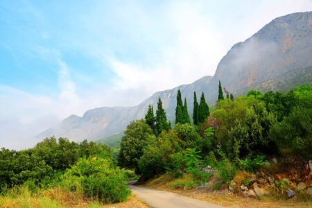 Summer landscape in Rilic mountain. Makarska Riviera, South Dalmatia, Croatia.の写真素材