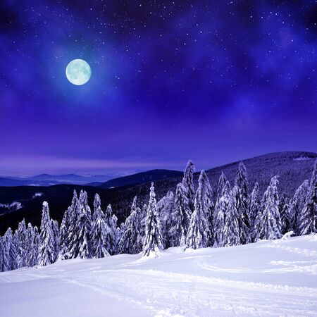 Snowy winter landscape in the night. View from Mount Pancir in Sumava National Park, Czech Republic.の写真素材