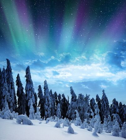 Snowy winter landscape in the night. Northern lights over  forest.の写真素材