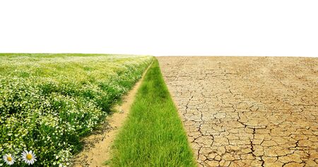 Dry country with cracked soil and meadow with flowers on white background. Concept of climate change or global warming.の写真素材