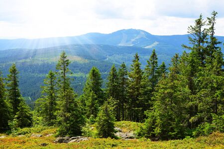 View from the top of mountain Zwercheck on the mount Grosser Arber in the Bayerischer Wald National Park. Germany.の写真素材