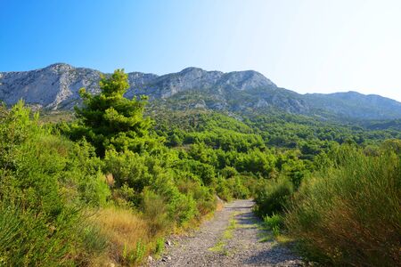 Summer landscape in Rilic mountain. Makarska Riviera, South Dalmatia, Croatia.の写真素材