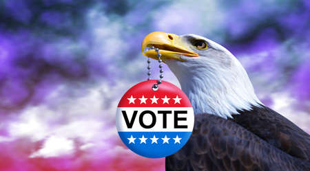 Bald eagle (symbol of the USA) holding badge for voting in 2020 American elections in his beak.