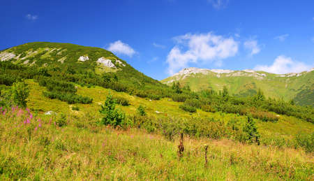 Summer mountain landscape in Belianske Tatry. Tatra National Park, Slovakia.の写真素材