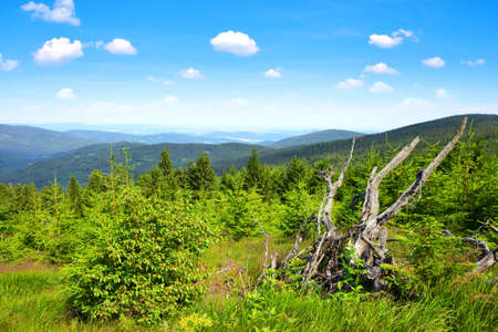 Summer landscape in National Park Sumava. View from the Pancir mountain. Czech republic.の写真素材