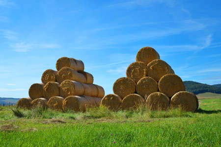 Straw bales on farmland with blue sky. Rural landscape.の写真素材