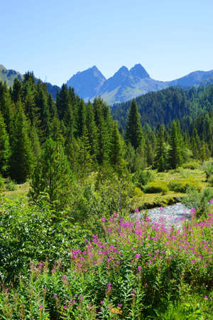 Beautiful mountain landscape near town Bergun. Albula Region, canton Graubunden, Switzerland Alps.の写真素材