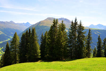 View on the mountain Jakobshorn above Davos town,Canton of Grisons, Switzerland. Summer Alpine landscape in sunny day.の写真素材