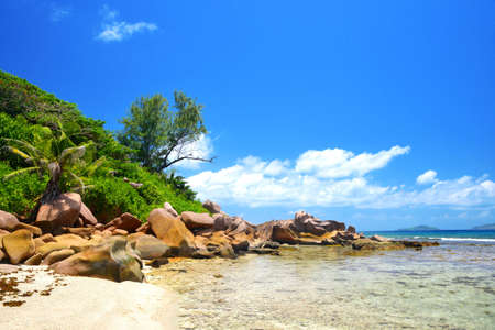 Anse Fourmis beach in La Digue Island, Indian Ocean, Seychelles. Tropical travel destination.の写真素材